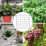Kaprolife Garden Trellis For Grow Tent Climbing Plants Outdoor Use